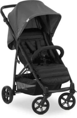 Hauck Buggy Rapid 4, Grey