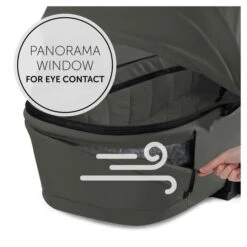 Hauck Walk N Care Carrycot Babywanne -Ausgewählte Baby- Und Kindergeschäfte 4007923165447.pt05.walk n care carrycot dark olive