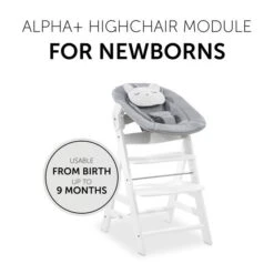 Hauck Alpha Bouncer 2in1 Babywippe Pastel Bear -Ausgewählte Baby- Und Kindergeschäfte 4007923661833.pt03.alpha bouncer 2 in 1 pastell bear light grey