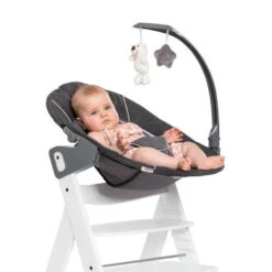 Hauck Alpha Bouncer Deluxe Babywippe -Ausgewählte Baby- Und Kindergeschäfte 4007923661857.pt03.alpha bouncer deluxe 11740 des grey