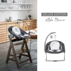 Hauck Alpha Bouncer Deluxe Babywippe -Ausgewählte Baby- Und Kindergeschäfte 4007923661857.pt12.alpha bouncer deluxe 11740 des grey