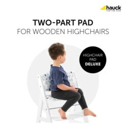 Hauck Highchair Pad Deluxe Sitzkissen Space -Ausgewählte Baby- Und Kindergeschäfte 4007923667699.pt01.highchair pad deluxe space