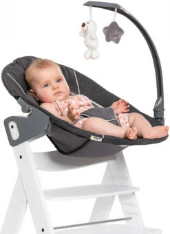 HAUCK Bouncer Deluxe 2in1 Für Hochstuhl Alpha+ Und Beta+ Newborn Set -Ausgewählte Baby- Und Kindergeschäfte hauck bouncer deluxe 2in1 fur hochstuhl alpha und beta newborn set 3