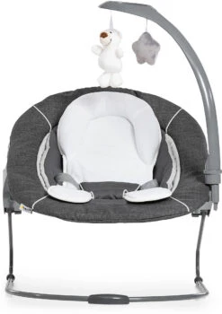 HAUCK Bouncer Deluxe 2in1 Für Hochstuhl Alpha+ Und Beta+ Newborn Set -Ausgewählte Baby- Und Kindergeschäfte hauck bouncer deluxe 2in1 fur hochstuhl alpha und beta newborn set 5